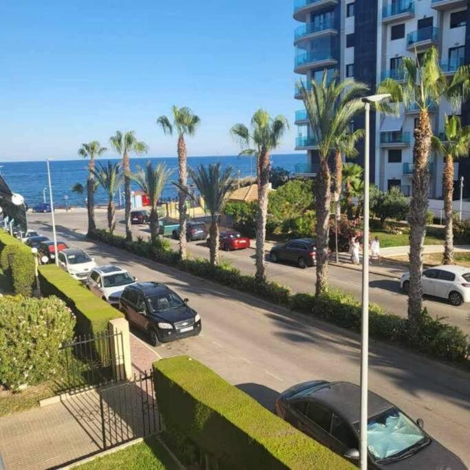 Apartament Punta Prima Torrevieja Dış mekan fotoğraf